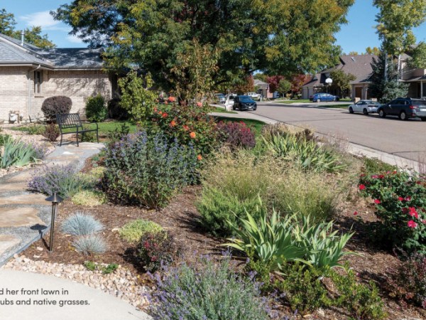 Boulder H&G: Lawn Be&nbsp;Gone