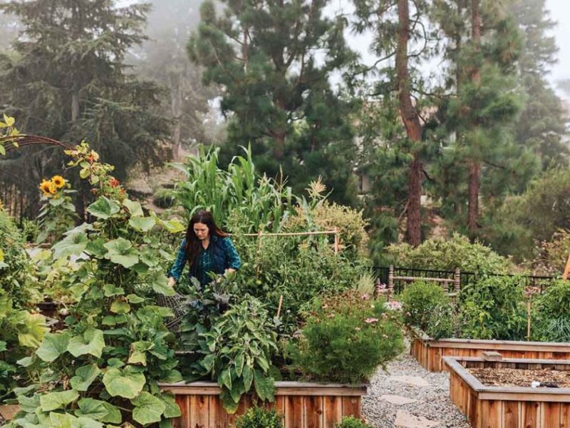 H&G Review: Kitchen Garden&nbsp;Living